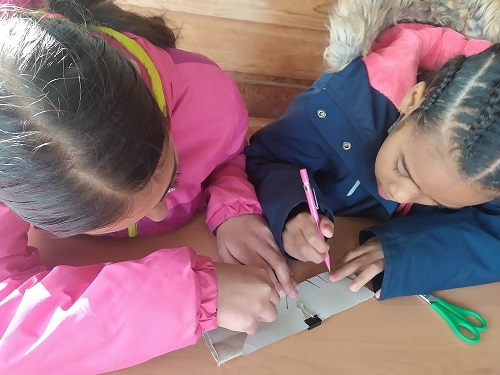 Des ateliers concluants sur le biomimétisme électronique à un programme pédagogique co-construit !