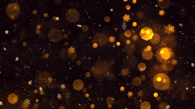 Bonne année !